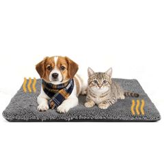 Item thumbnail for item 400018c7-698c-4cfe-a5a3-c53d901b2c86