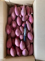 ⭐︎R7年産　紅はるか　プチ芋　5キロ⭐︎