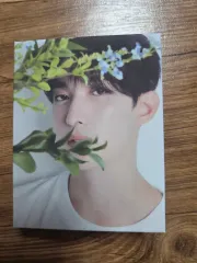 SEVENTEEN ベストアルバム 17 IS RIGHT HERE ドギョム(DK) CARAT盤