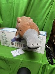 ルルド おやすみグースピー GOOSPY AX-BNL800 ねむねむアニマルズ