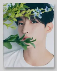 SEVENTEEN ベストアルバム 17 IS RIGHT HERE ドギョム(DK) CARAT盤