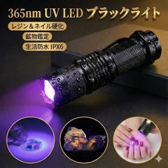 Item thumbnail for item c00eb2e7-8fbf-4bfd-870d-23a9780e0807