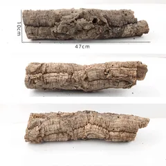 2025年最新】コルク樹皮 キャノンの人気アイテム - メルカリ