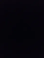 店舗紹介必読様