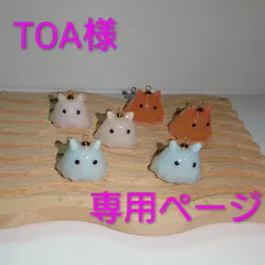 TOA様　専用ページです
