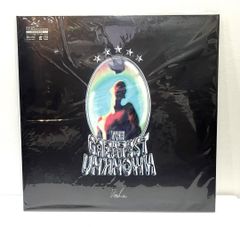 新品未使用】King Gnu「THE GREATEST UNKNOWN」LP - メルカリ