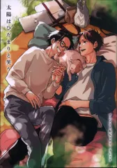 幻冬舎 書店配布/バーズコミックスリンクスコレクション 楓木まる 太陽はひだまりと笑う アニメイト限定4Pリーフレット