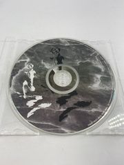 Cazqui(ノクブラ) / NEVERFADE. 会場限定CD - メルカリ
