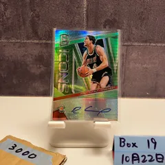 2018-19 Panini Spectra Rony Seikaly 27/49 直筆サインカード Miami Heat Icons カード