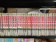 風のマウント 44 完 出品