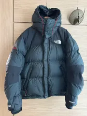 THE NORTH FACE ザノースフェイス ウィンドストッパー サミット シリーズ グースダウン95