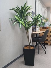 Bo concept 大型フェイクグリーン175cm 観葉植物 造花 インテリア