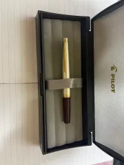 パイロットコーポレーション エリート 95s ディープレッド 14k 万年筆 出品