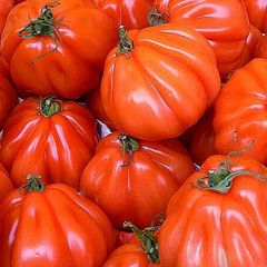 ピースバインミニトマトの種(自然栽培・固定種) - メルカリ