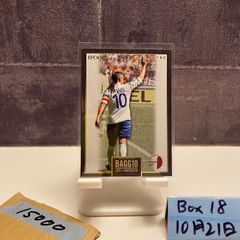 ロベルト・バッジョ ファンタジスタ 引退記念生産限定特別BOX版 DVD 美