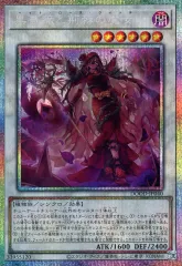 黒薔薇と荊棘の魔女 黒薔薇の破滅竜 2枚 遊戯王カード 黒薔薇の破滅竜2枚 黒薔薇と荊棘の魔女2枚 などセット