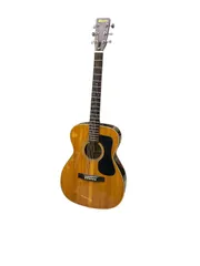 h10866 Morris アコースティックギター F-12 楽器 ギター アコギ