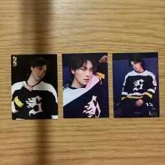 SEVENTEEN(セブンティーン・セブチ) HOME トレカ＋ワッペンキーホルダー ディノ (まとめ売り)