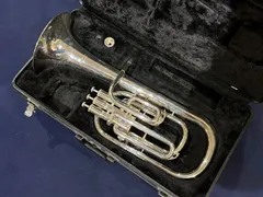 2026年最新】テナーホーンの人気アイテム - メルカリ