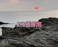 専用です。AYA様
