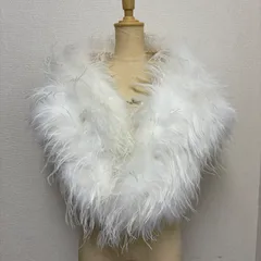 フェザーショール 成人式 着物 C25122118