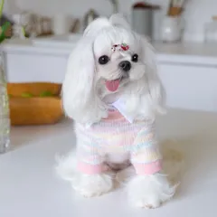 パステルカラーニット　犬服