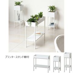 Item thumbnail for item 5e16a48a-c6f8-4a68-82f1-cb05ae8e5cf8