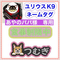 Item thumbnail for item 0d03302e-8e3d-4954-8e7f-47b937296851