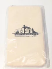 新品未開封 関西ジャニーズJr. 関ジュ 夢の関西アイランド 2020 in 京セラドーム ペンライトケース