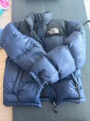 THE NORTH FACE ザノースフェイス グース ヌプシダウンジャケット 700