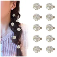 バレッタ 髪留め ヘアピン カジュアル スタイリッシュ 甘美 ヘアクリップ 可愛い 小さい 山茶花 エレガント ヘアアクセサリー 人気 レディース 髪飾り FASELE 優雅的 オシャレ 母の日 ギフト 贈り物 プレゼント 10点セット