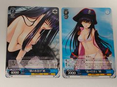 4 プレシャスメモリーズ 魔法使いの夜 蒼崎青子 カード プロモ 水着