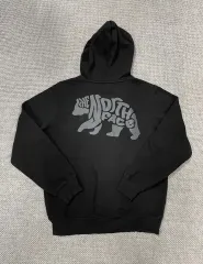 THE NORTH FACE ザノースフェイス BEAR グラフィック フーディー Tシャツ