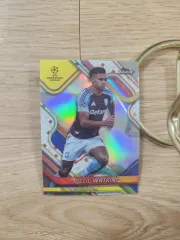 25トップス ファイネスト アストン・ヴィラ オール・リ・ワトキンズ リフレクター サッカーカード