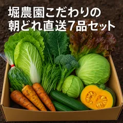 福岡県エコ農産物・堀農園の冬の野菜セット 7品 80サイズ 新鮮直送
