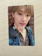 Seventeen ディノ An Ode Real ver.