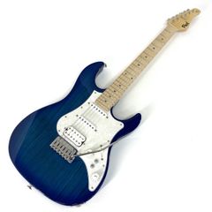 フジゲン Expert ODYSSEY EOS-ASH-M/SBB 中古 - メルカリ