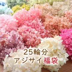 Item thumbnail for item 1a5da026-9ebc-4a96-bbe0-b981ea7a9fc5