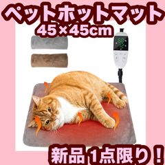 Item thumbnail for item 4bf6bdb2-5331-4941-8654-0d89bc765b37