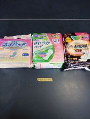 Item thumbnail for item 92b91db3-3091-4671-8acc-f769856b10de