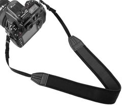 Item thumbnail for item 4c412d9b-bc90-46d6-b3a5-354e69e0185a