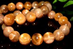 Item thumbnail for item 68a80779-36f0-4345-b946-85bc4fe46b00