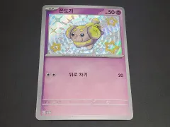 ポケットモンスター カード チョンギ イロチ