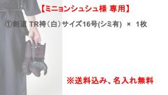 Item thumbnail for item 2972079d-d15c-4efd-9464-4c2f9e6e94a1