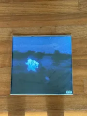 Daniel Caesar Never Enough LP ダニエル(DANIELLE) シーザー