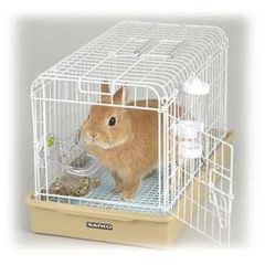 Item thumbnail for item 32741db9-e646-4c19-ba34-ac47095721e3