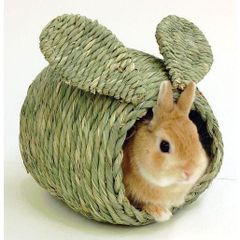 Item thumbnail for item 763a87d2-a567-4c09-820a-b36befa9b6d0