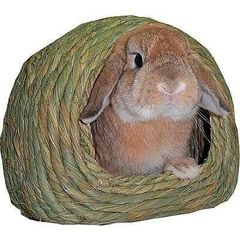 Item thumbnail for item e66eaf56-e36a-4ae4-a973-fb5facb14baf