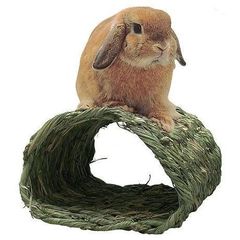 Item thumbnail for item 515b47ef-65b7-41d8-b95c-3d4596918a1e