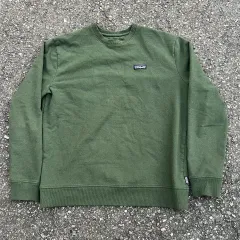 パタゴニア スウェット Tシャツ グリーン